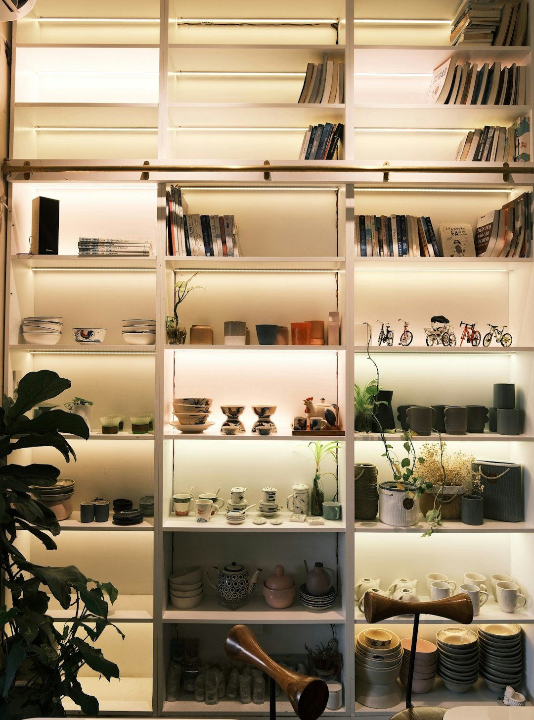 shelves-filled-with-books-and-decorative-items-lbq5motvj9s